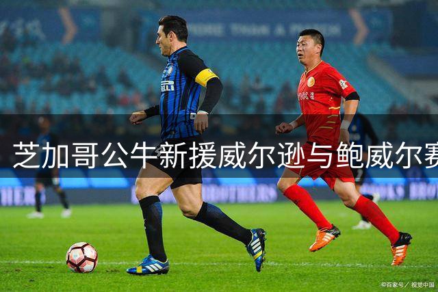 芝加哥公牛新援威尔逊与鲍威尔赛场表现解读