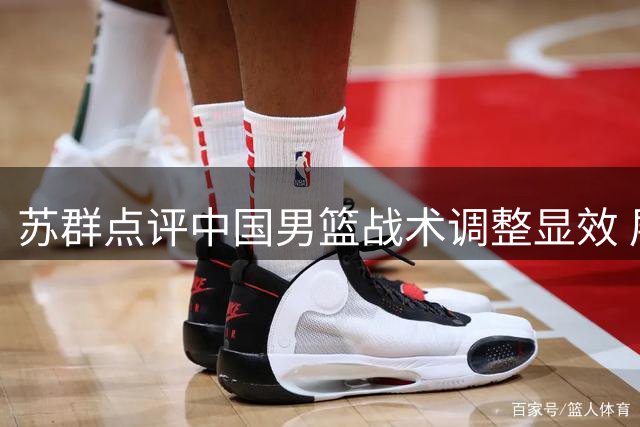 苏群点评中国男篮战术调整显效 展望后续赛程